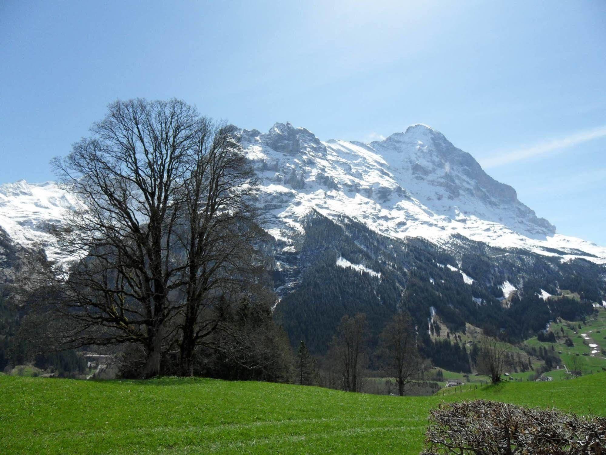 Ferienwohnung Seraina 5.5 - Griwarent Ag Grindelwald Exterior photo